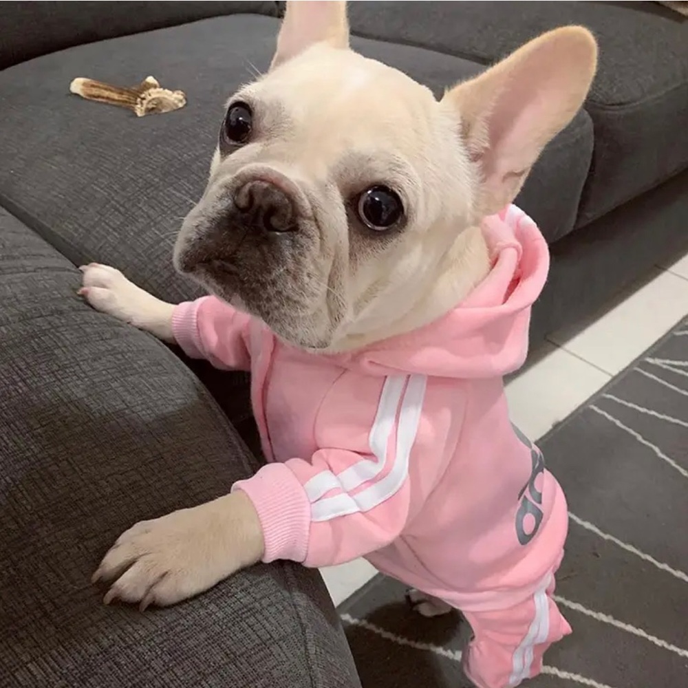 Dog Hoodie - Picture 3 of 4